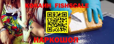 индика Гай