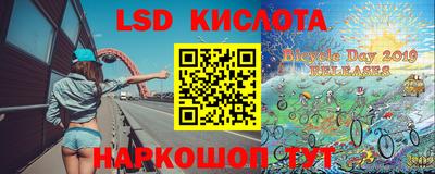индика Гай