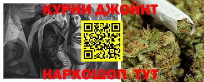 индика Гай