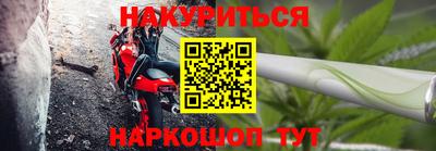 индика Гай