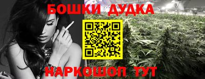 МДПВ Гагарин