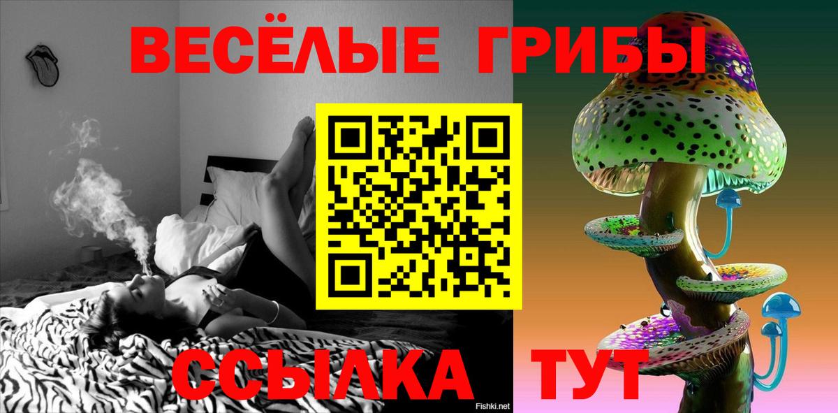 Галлюциногенные грибы Psilocybe Городец