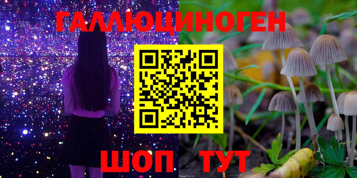 Псилоцибиновые грибы Cubensis  Вход с VPN  Псилоцибиновые грибы MAGIC MUSHROOMS  Городец 